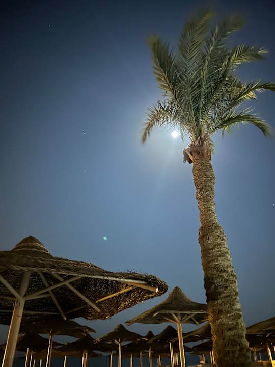 Strand Iberotel Makadi Beach