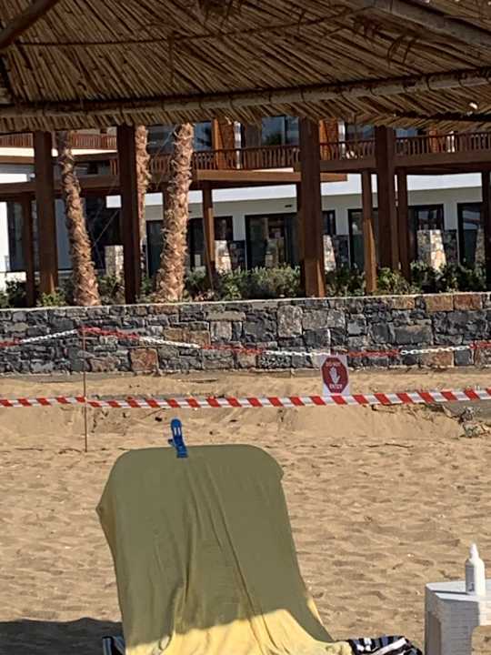 Außenansicht allsun Hotel Carolina Mare