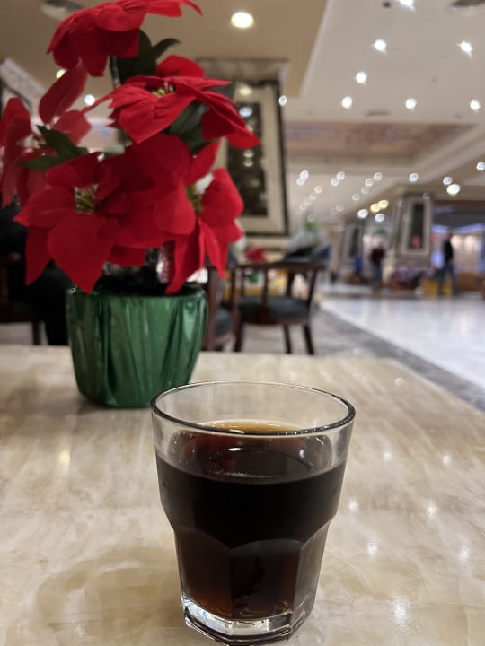 Gastro AMC Royal Hotel & SPA