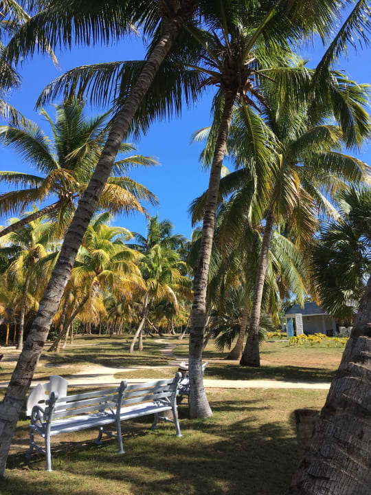 Gartenanlage Sol Varadero Beach