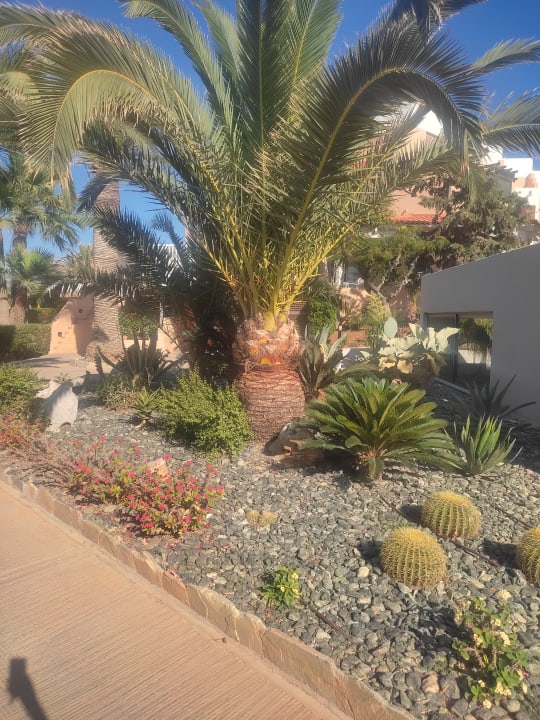 Gartenanlage Anissa Beach & Village