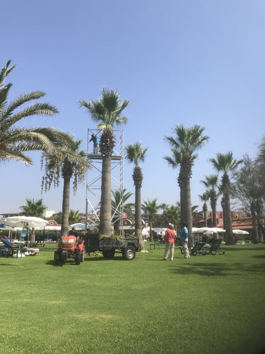 Gartenanlage Megasaray Club Belek