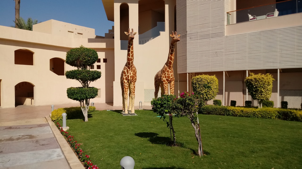 Gartenanlage Pickalbatros Royal Moderna Resort-Sharm El Sheikh