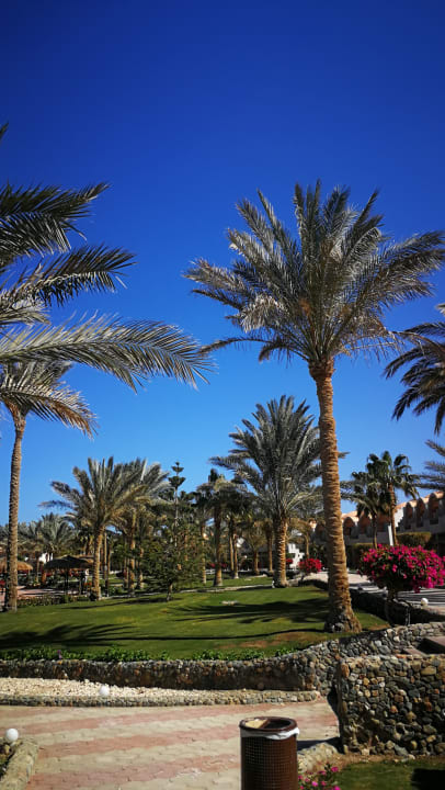 Gartenanlage Three Corners Sea Beach Resort