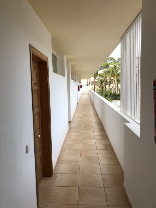 Sonstiges Insotel Club Tarida Playa