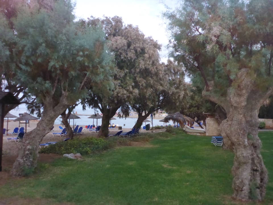 Gartenanlage Phãea Cretan Malia