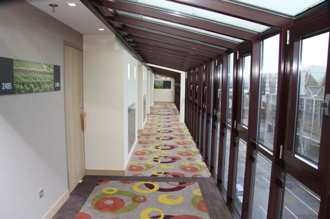 Über den Dächern von Mainz Hilton Mainz