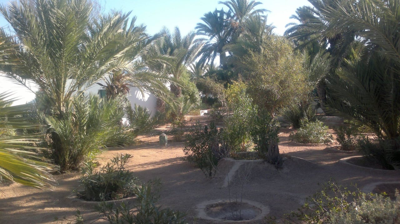 Teil der Anlage Hotel Sangho Club Zarzis