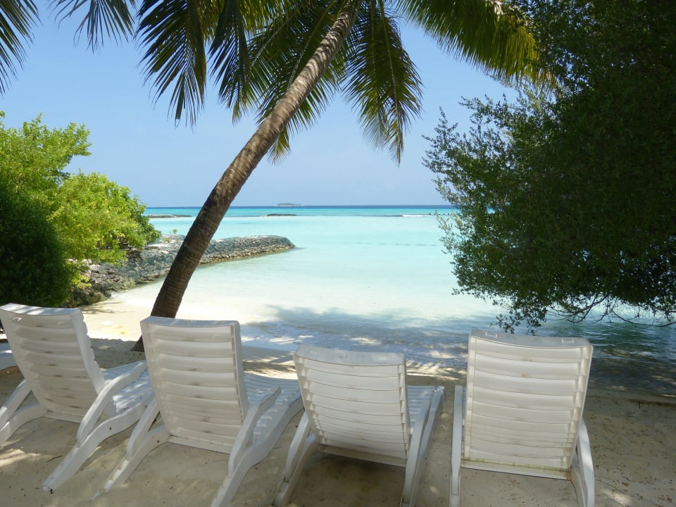 Standardbungalow 36-37 Summer Island Maldives