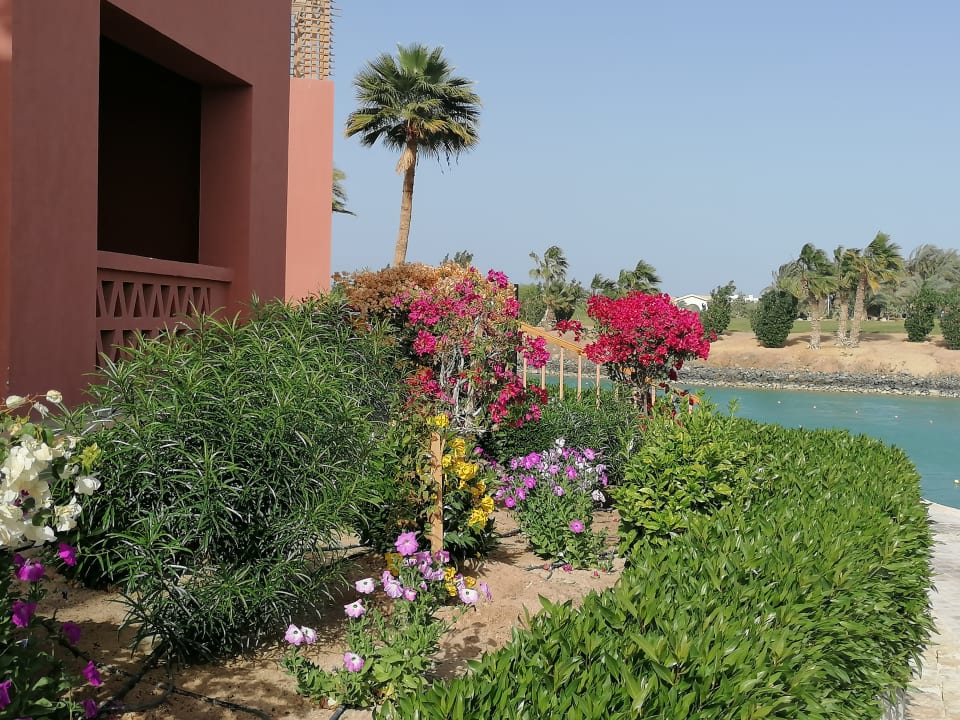 Gartenanlage Steigenberger Golf Resort El Gouna