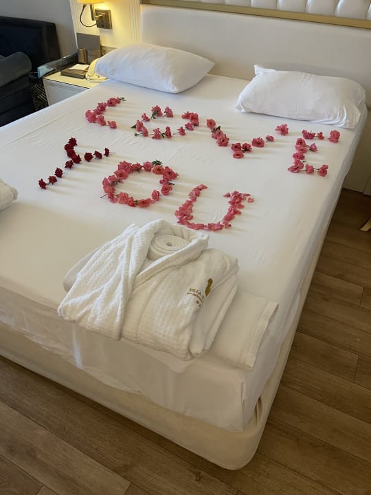 Zimmer Haydarpasha Palace