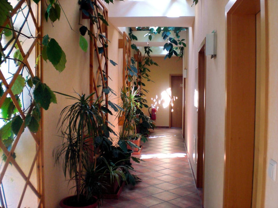 Innenansicht Vita Haus am Palmengarten