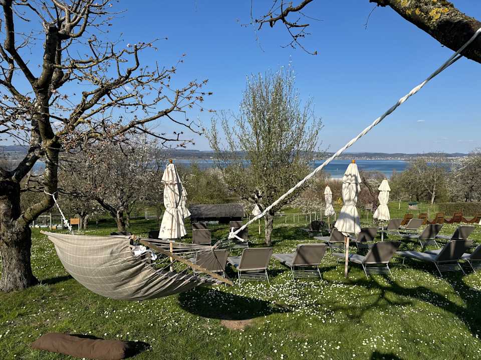 Ausblick Hotel Hirschen Horn | Refugium am See