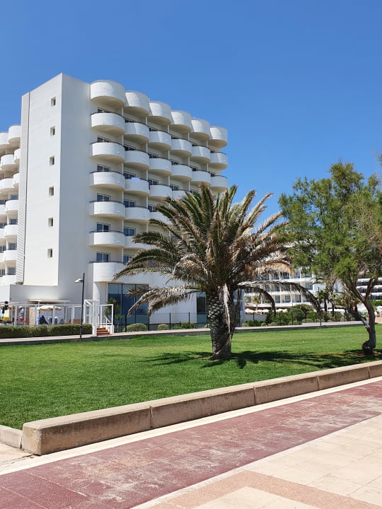 Außenansicht Hipotels Hipocampo Playa