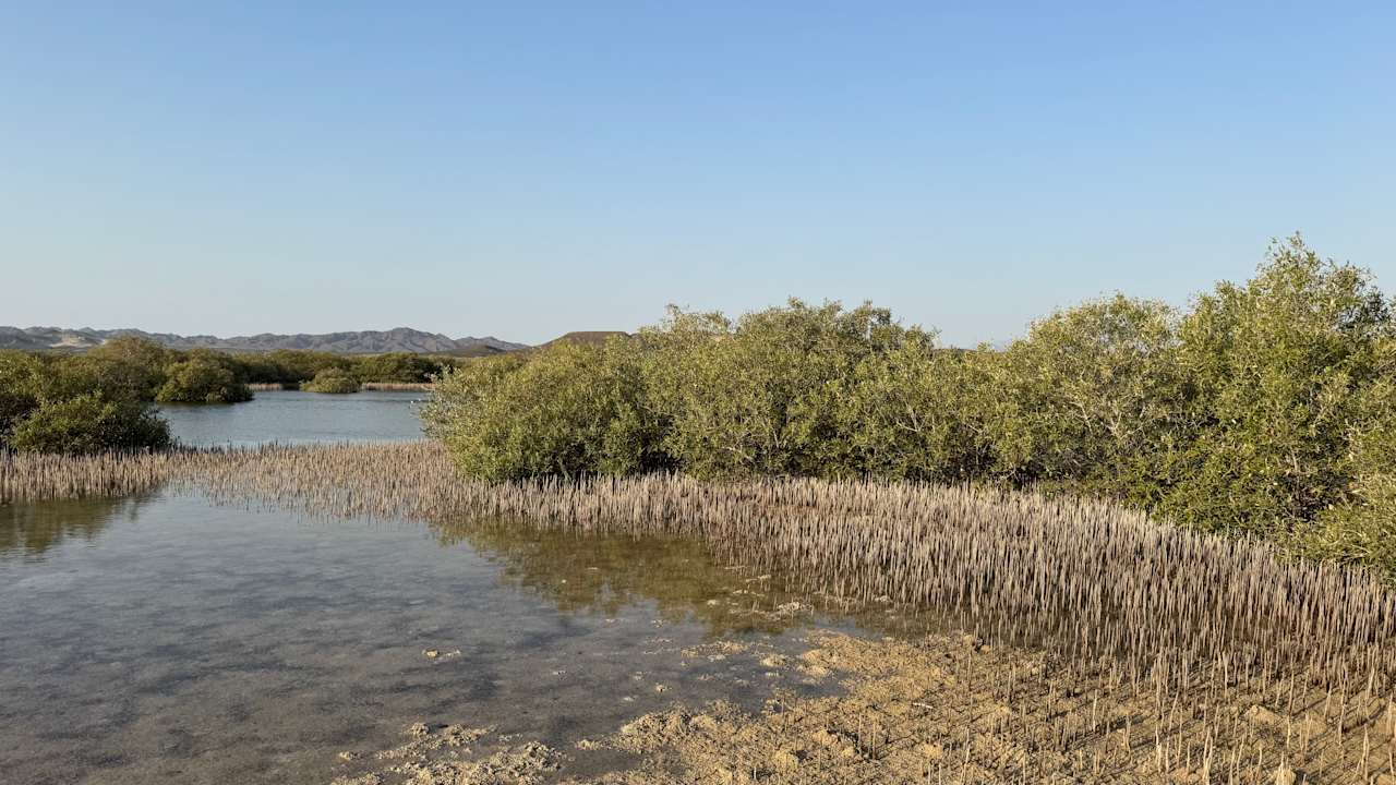 Außenansicht Wadi Lahmy Azur Resort