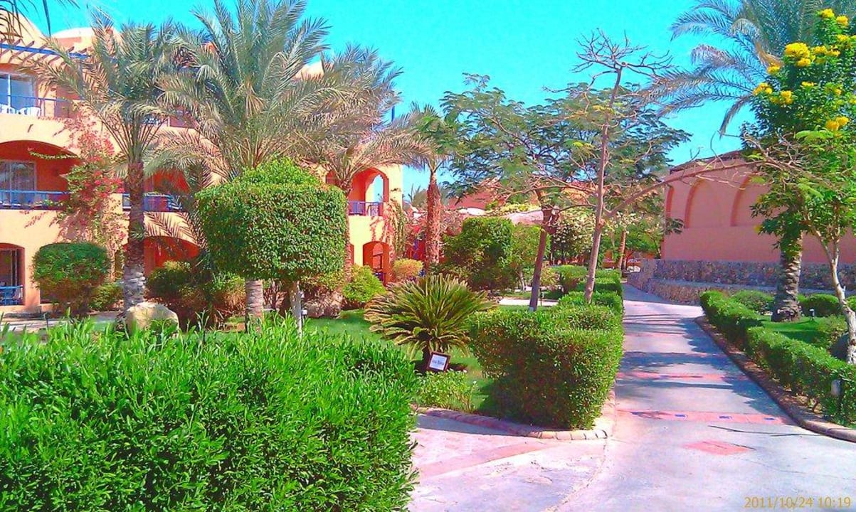 Die grüne Oase Jaz Makadi Oasis Resort