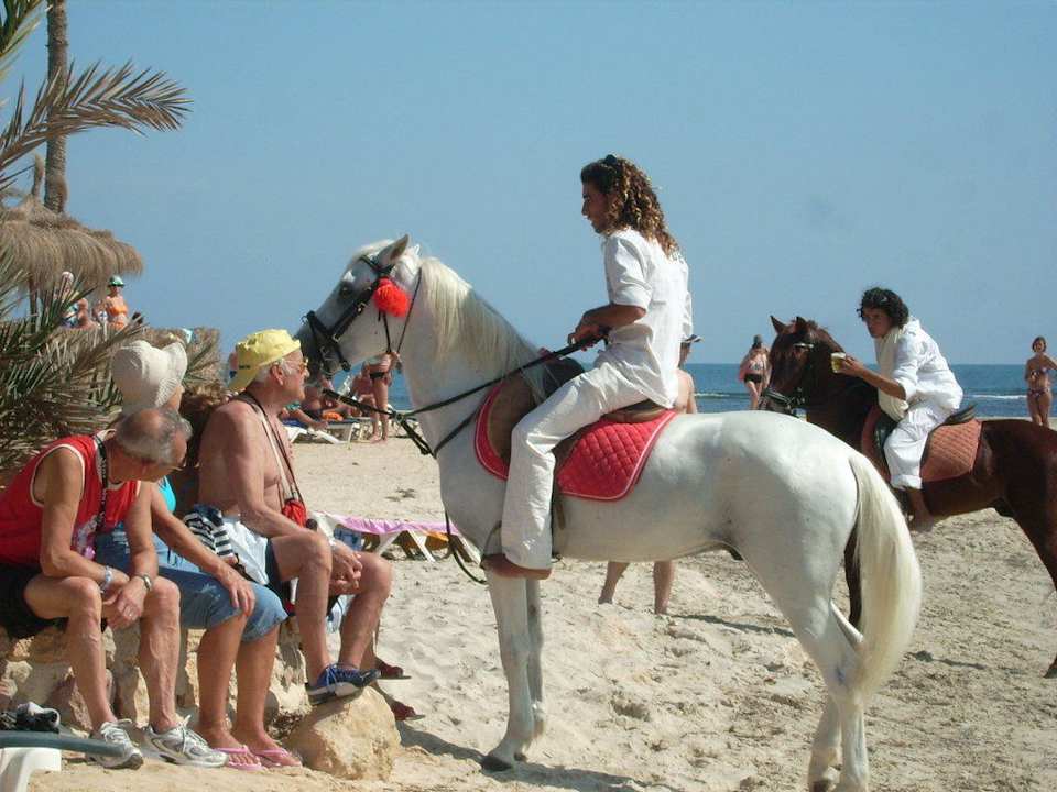 Reitershow am Strsnd Hotel El Mouradi Djerba Menzel