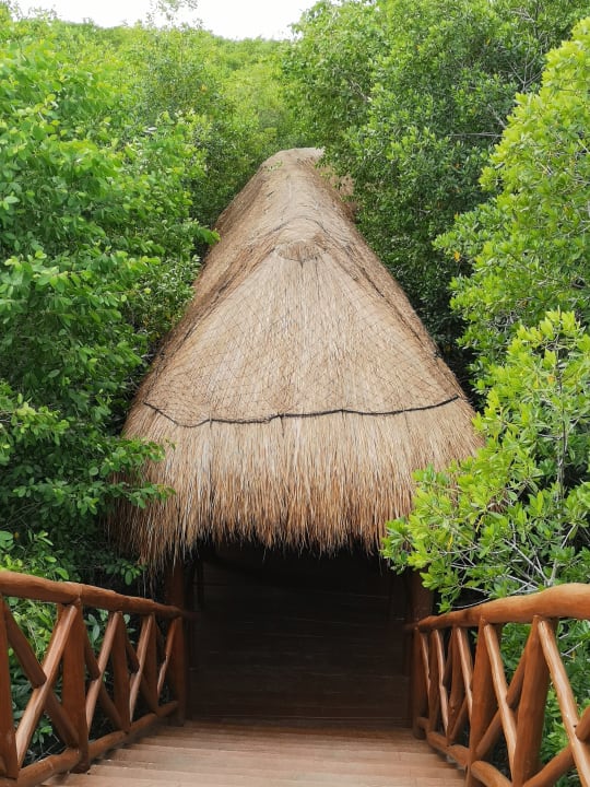 Gartenanlage TRS Yucatan Hotel - Adults only