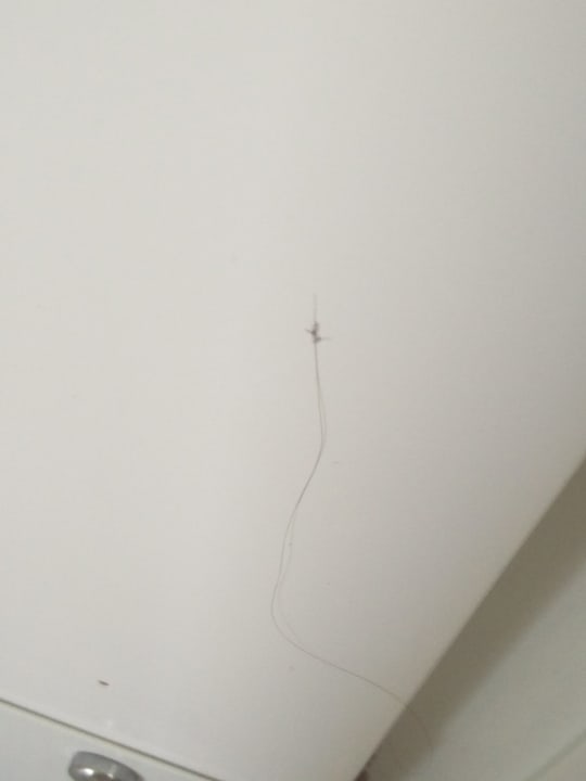 Zimmer Hotel Lara World