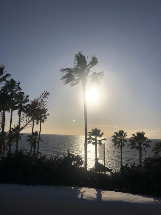 Ausblick Dreams Jardín Tropical