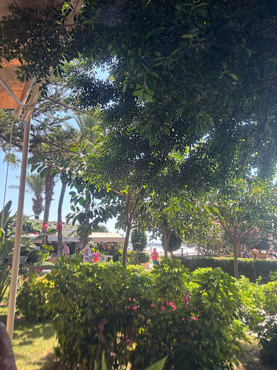 Gartenanlage Nerton Hotel - Erwachsenenhotel ab 16 Jahren