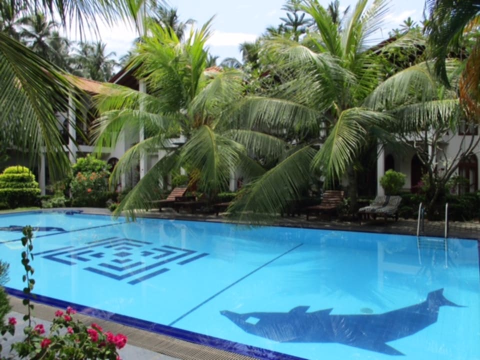 Pool Hotel Bentota Village