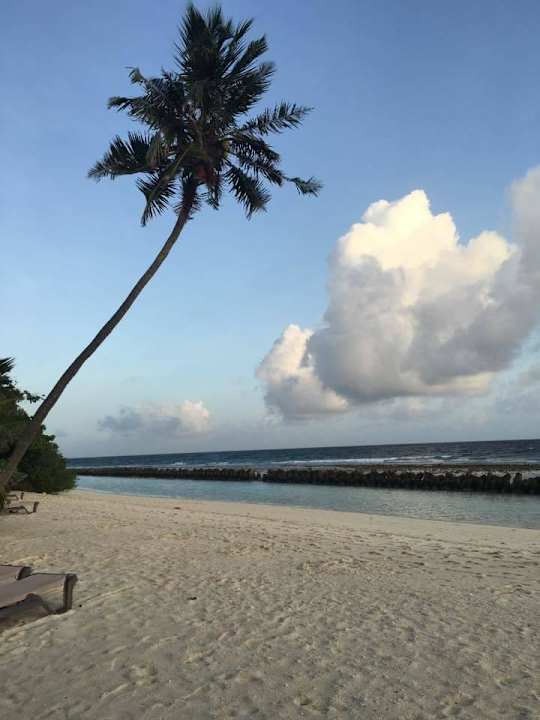 Sonnenaufgang von unserer Liege aus Kuredu Island Resort & Spa