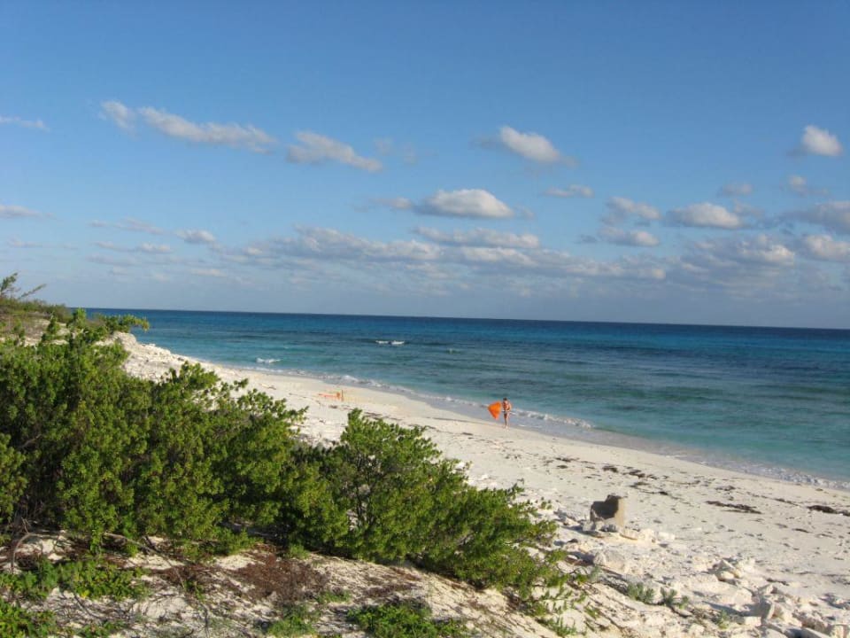 В 20 минутах ходьбы от отеля Hotel Cayo Largo del Sol