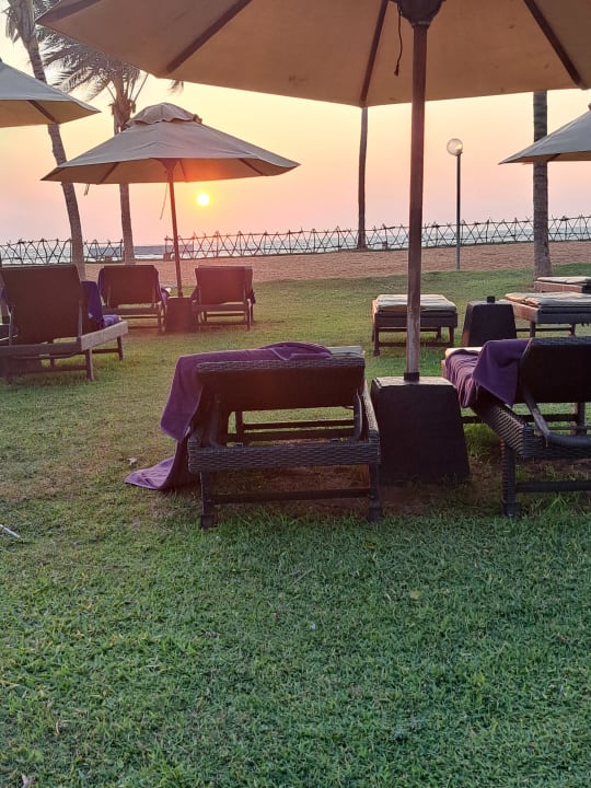 Gartenanlage Club Hotel Dolphin