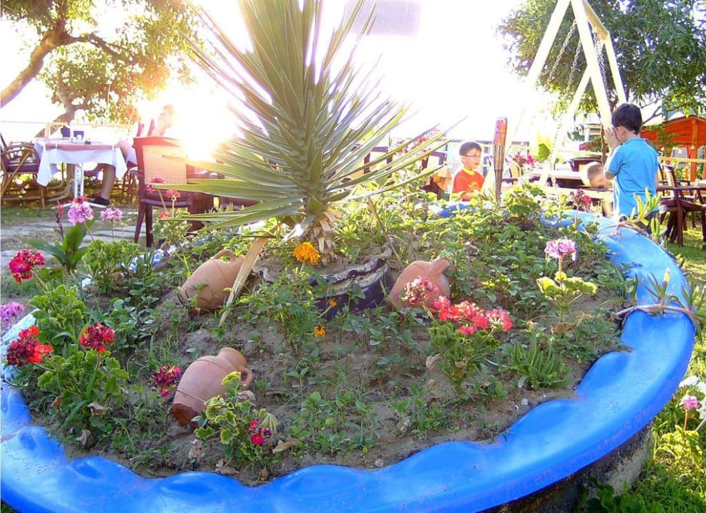 Kinder-Spielecke mit Blumen-Arrangement Clover Magic Nova Beach