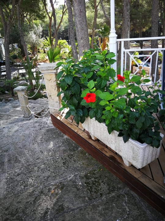 Außenansicht allsun Hotel Bella Paguera