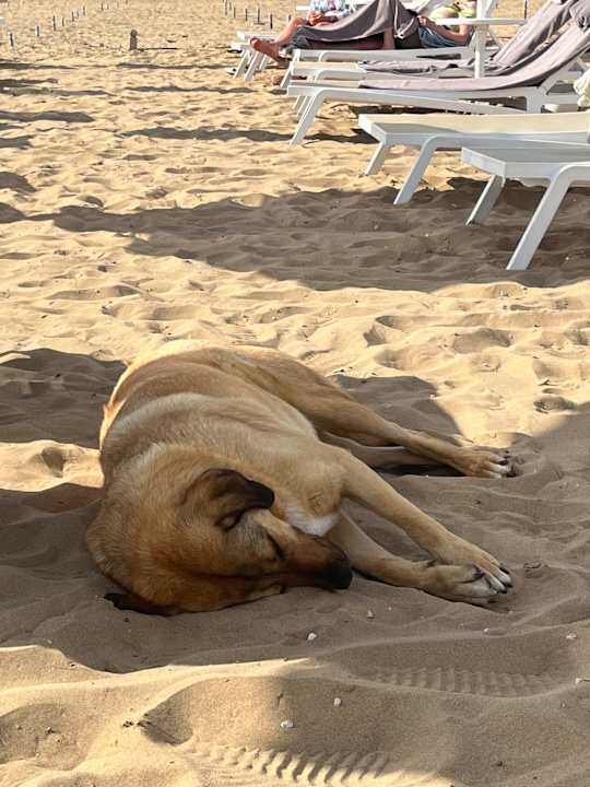 Strand Seaden Quality Resort & Spa