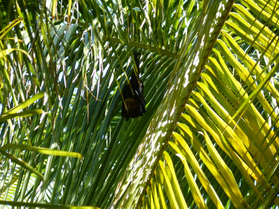 Sonstiges Summer Island Maldives