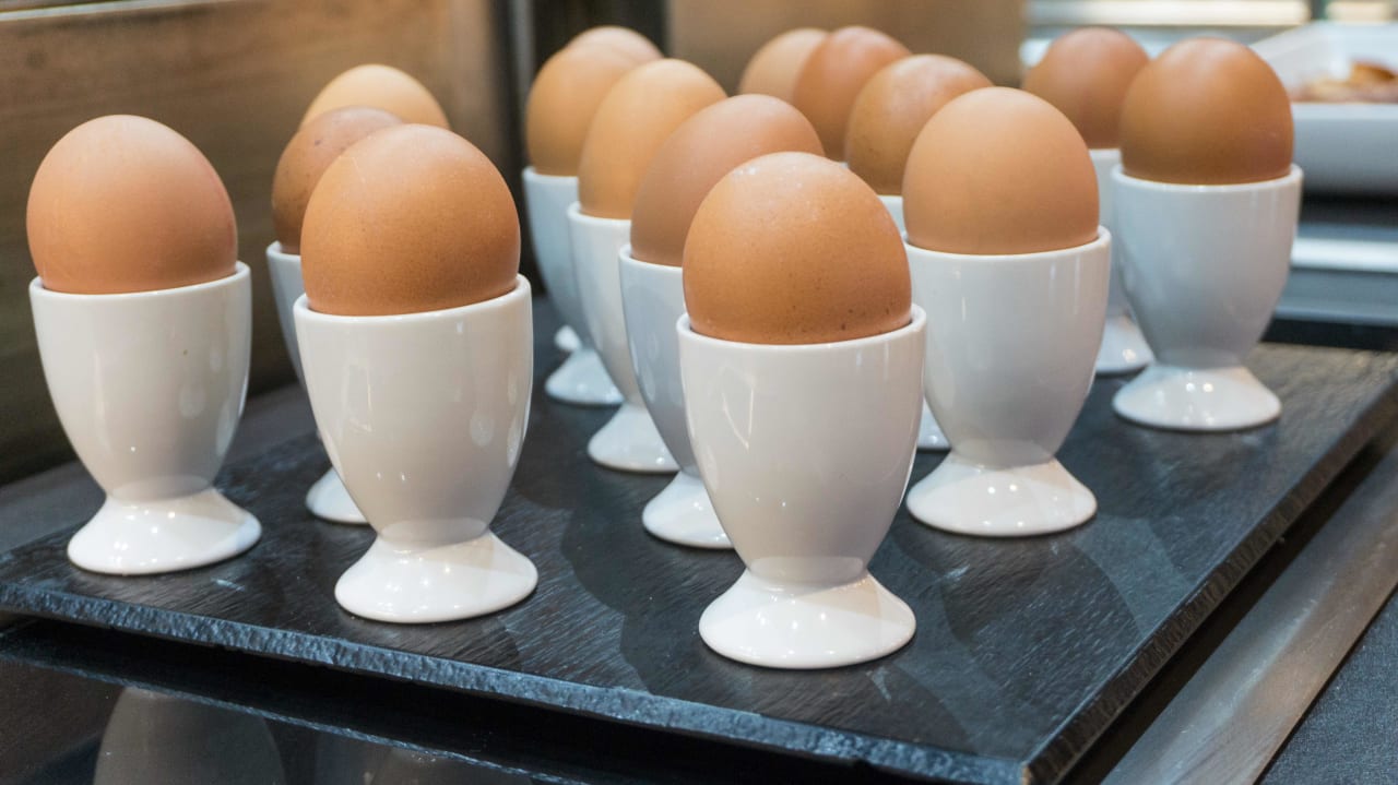 Gastro Paradiso Garden