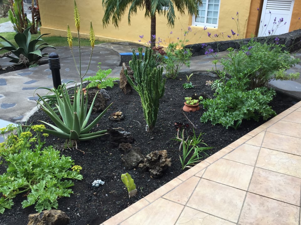 Gartenanlage Apartamentos La Caleta