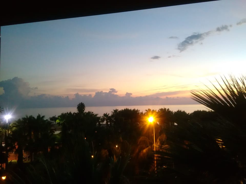 Ausblick Gardenia Hotel