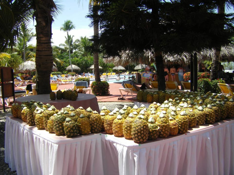 Pina Colada an der Poolbar Catalonia Punta Cana - All Inclusive