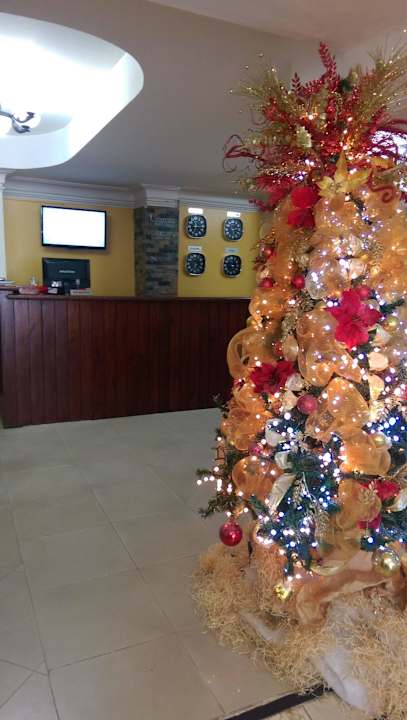 Rezeption Hotel Los Jardines