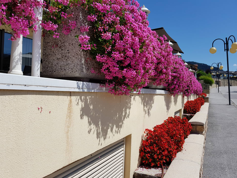 Sonstiges Hotel Ambassador