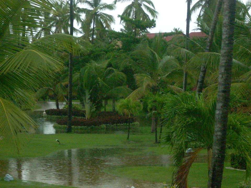 Land unter Punta Cana Princess All Suites Resort & Spa