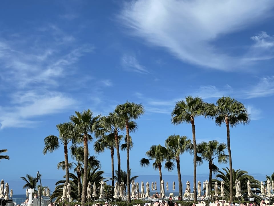 Ausblick Hotel Riu Gran Canaria