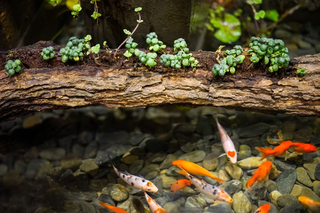 Sonstiges G Mekong Hotel Phnom Penh