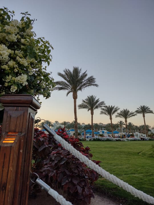 Ausblick Pickalbatros Dana Beach Resort - Hurghada
