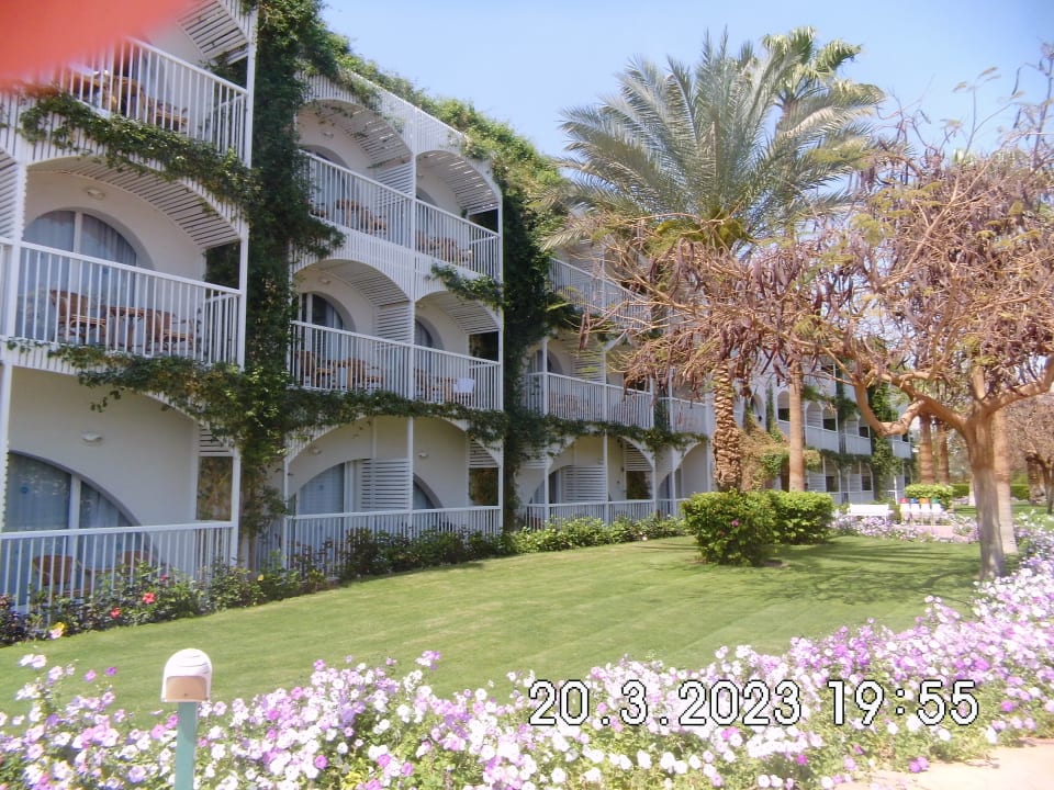 Außenansicht Desert Rose