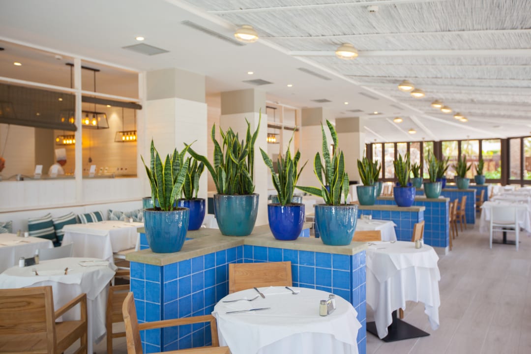 Gastro Corallium Beach by Lopesan Hotels - Adults only