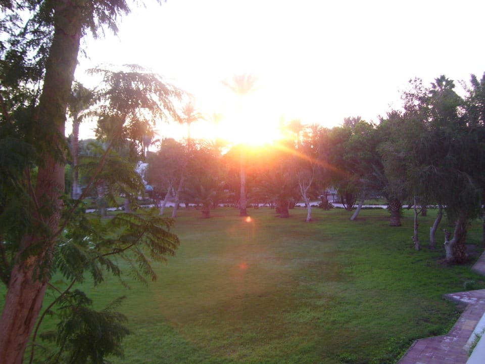 Sonnenaufgang am Morgen Shams Safaga Resort