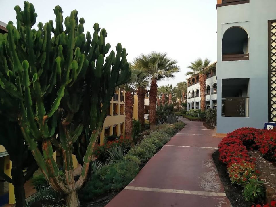 Hotelgebäude und Garten Occidental Jandía Playa