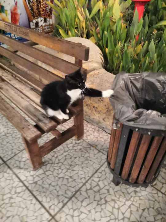 Gartenanlage Eftalia Ocean Resort & Spa