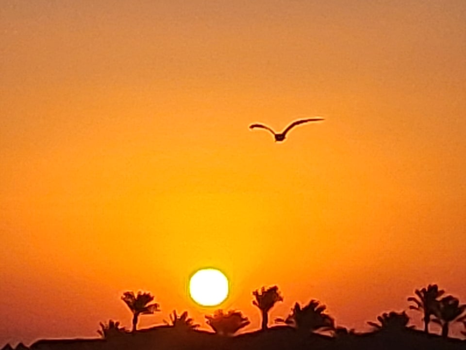 Strand Stella Beach Resort & Spa Makadi Bay