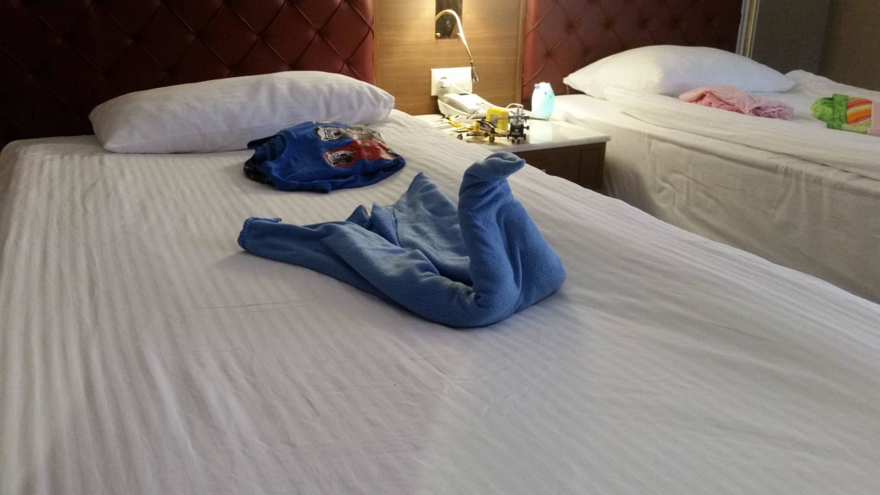 Kunst der Reinigungskräfte :-) Royal Taj Mahal Hotel